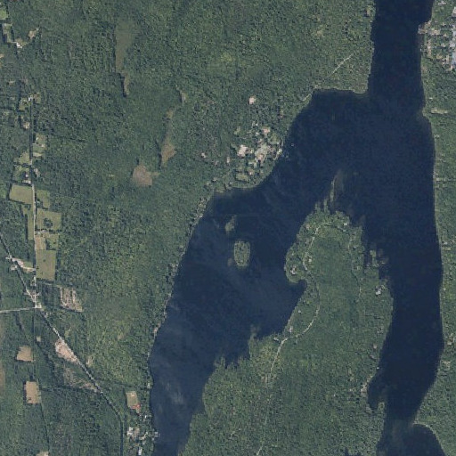 Aerial imagery of Turtle Island, ME