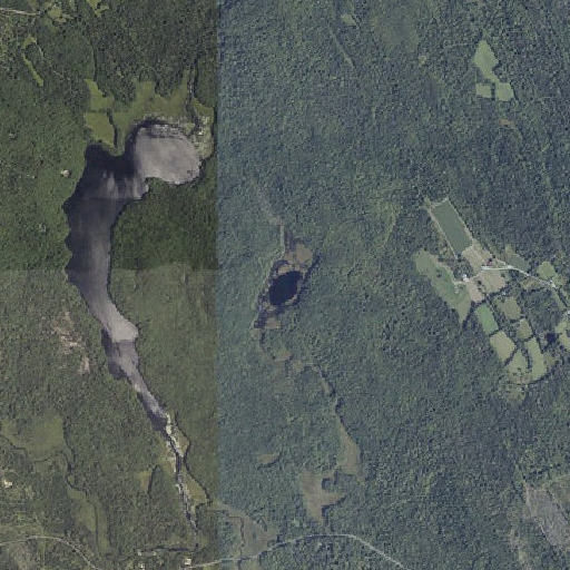 Aerial imagery of Turtle Pond, ME