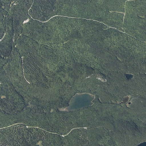 Aerial imagery of Turtle Ridge, ME