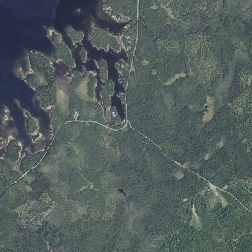 Aerial imagery of Tussle Brook, ME