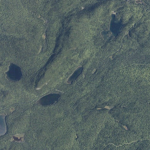 Aerial imagery of Upper Pond, ME