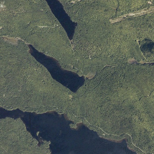 Aerial imagery of Upper Pug Stream, ME