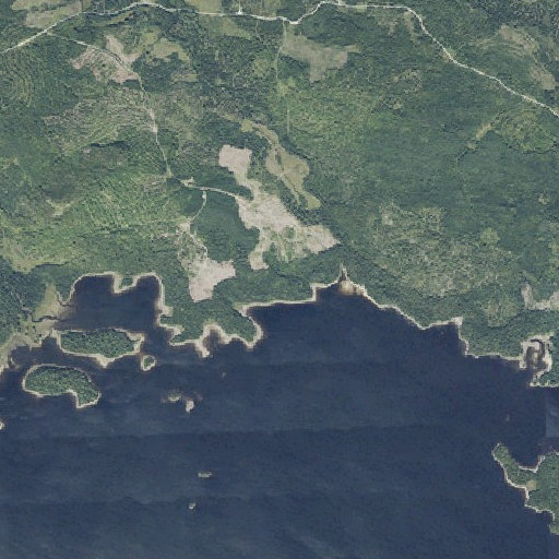 Aerial imagery of Usher Inlet, ME