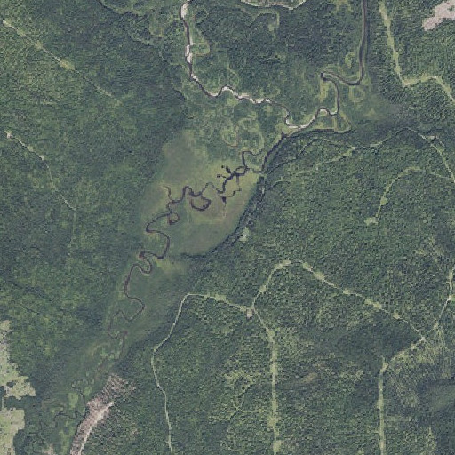 Aerial imagery of V E Lynch Camp, ME
