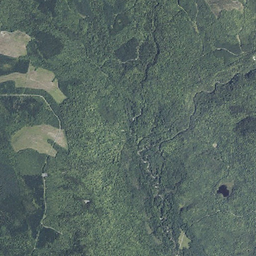 Aerial imagery of Vaughn Stream, ME
