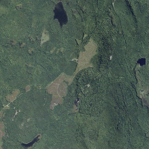 Aerial imagery of Vienna Mountain, ME