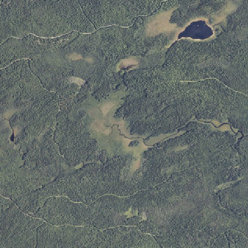 Aerial imagery of Wadleigh Bog, ME