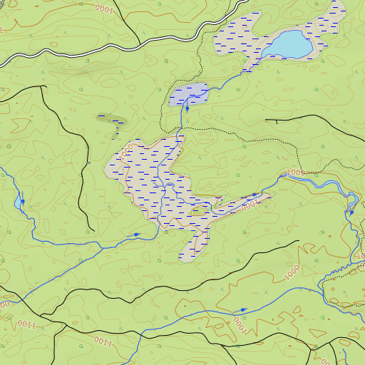 OpenTopoMap map of Wadleigh Bog, ME