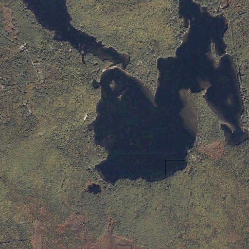 Aerial imagery of Walden Pond, ME