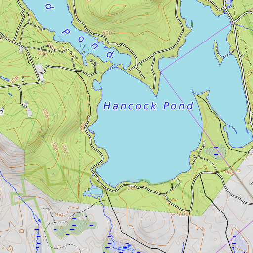 OpenTopoMap map of Walden Pond, ME
