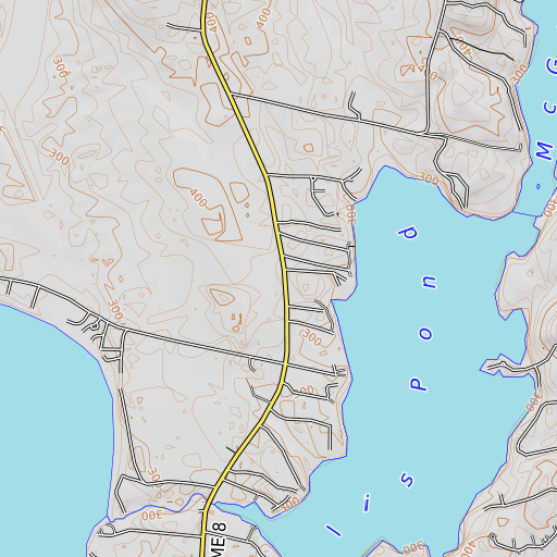 OpenTopoMap map of Washington School, ME