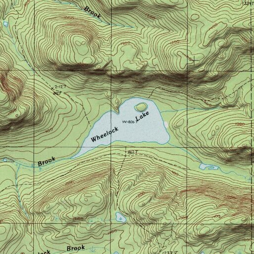 USGS 24K topo map of Wheelock Lake, ME