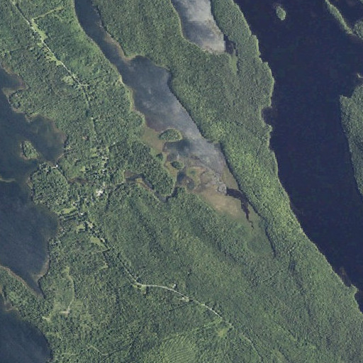 Aerial imagery of Forest City Stream, ME