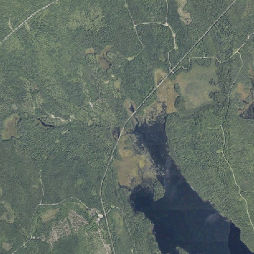 Aerial imagery of Packards, ME