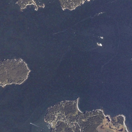 Aerial imagery of Old Tom, ME
