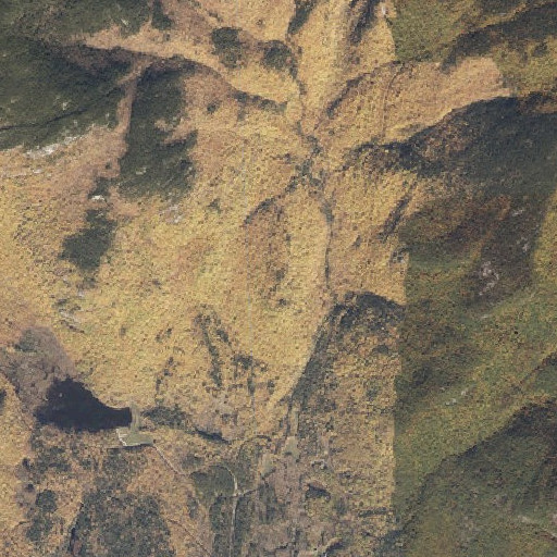Aerial imagery of Birch Knoll, ME