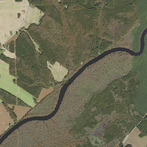 Aerial imagery of Cottingham Mill Run, MD