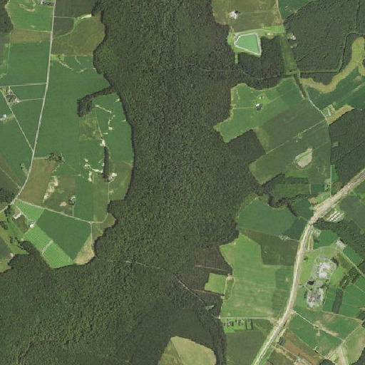 Aerial imagery of Fivemile Branch, MD