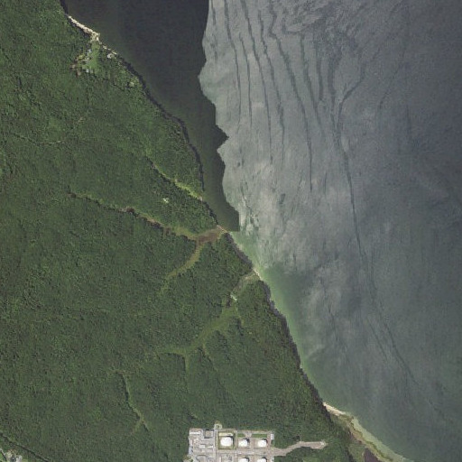 Aerial imagery of Thomas Branch, MD