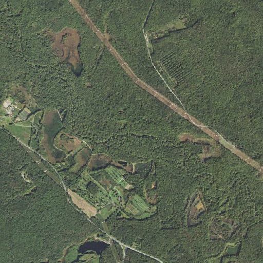 Aerial imagery of Thomas Branch, MD