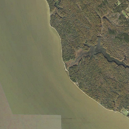 Aerial imagery of Thorne Gut, MD