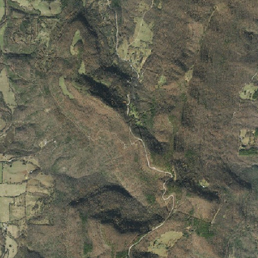 Aerial imagery of Campbell Gap, AR