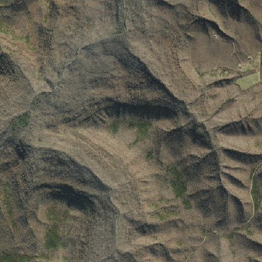 Aerial imagery of Daniel Mountain, AR