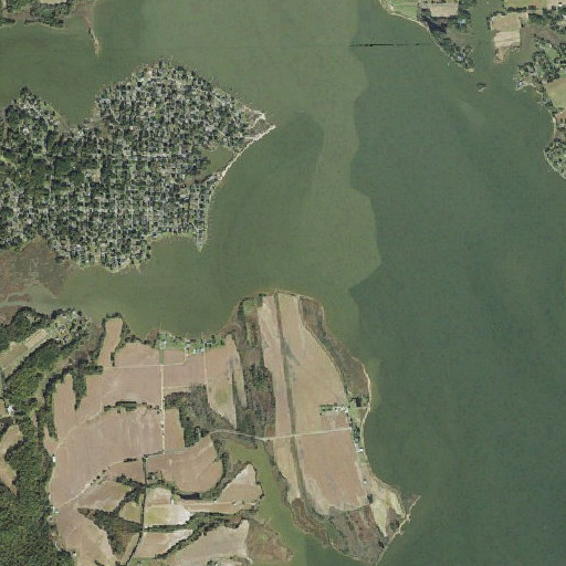 Aerial imagery of Billiard Point, MD