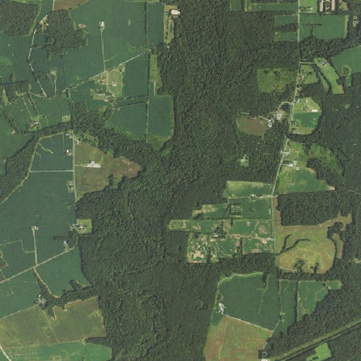 Aerial imagery of Scotts Branch, MD