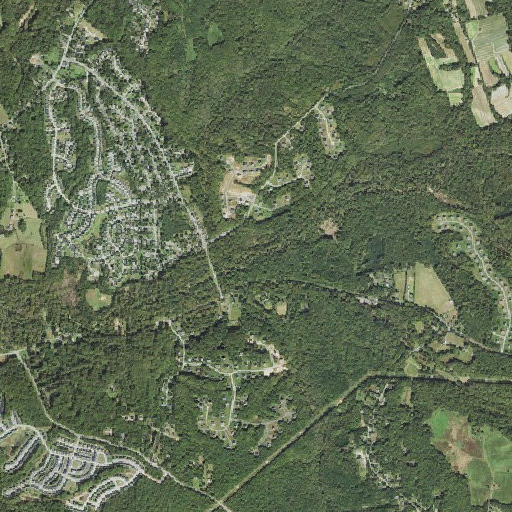 Aerial imagery of Burch Branch, MD