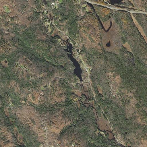 Aerial imagery of Cone Brook, MA