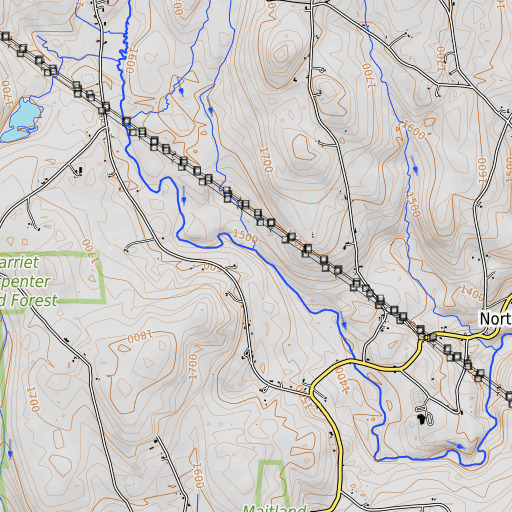 OpenTopoMap map of Dickenson Brook, MA