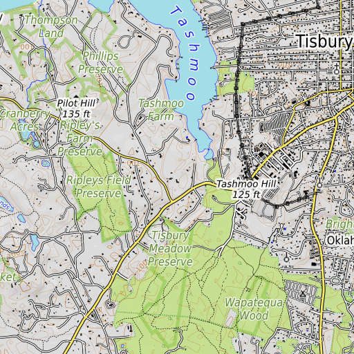 OpenTopoMap map of Tashmoo Spring, MA