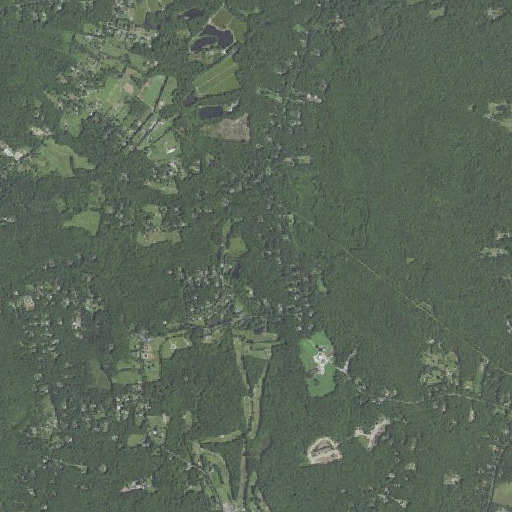 Aerial imagery of Bliss Brook, MA