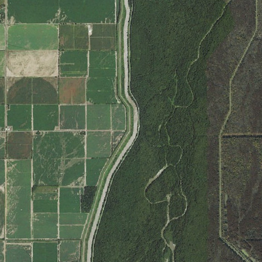 Aerial imagery of Bucks Point, AR