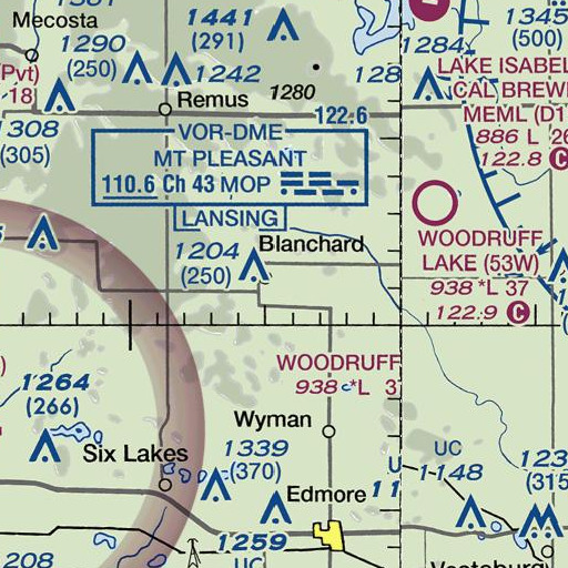 FAA VFR chart of Babcocks Pond, MI