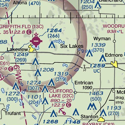 FAA VFR chart of Brimmer Creek, MI