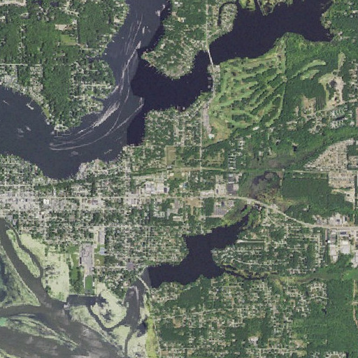 Aerial imagery of Central Park, MI