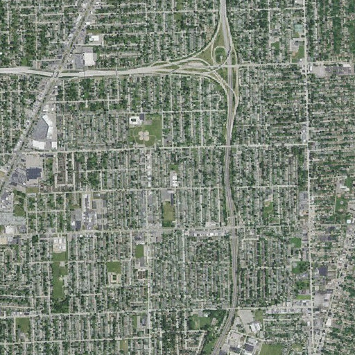 Aerial imagery of Chippendale School, MI