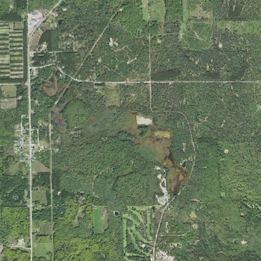 Aerial imagery of Comins Marsh, MI