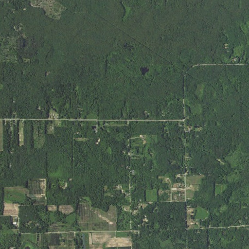 Aerial imagery of Diamond School, MI