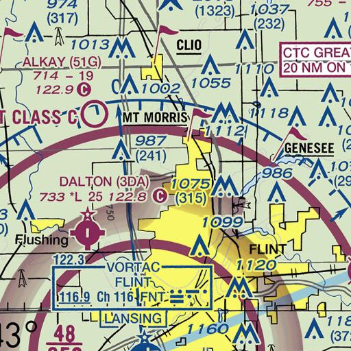 FAA VFR chart of Dolan Junior High School, MI