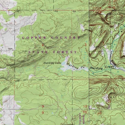 USGS 24K topo map of Harding Lake, MI