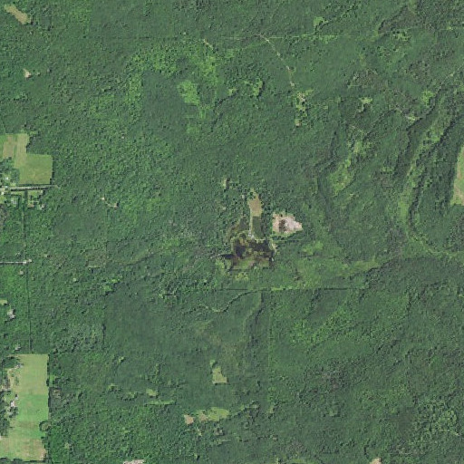 Aerial imagery of Harding Lake, MI