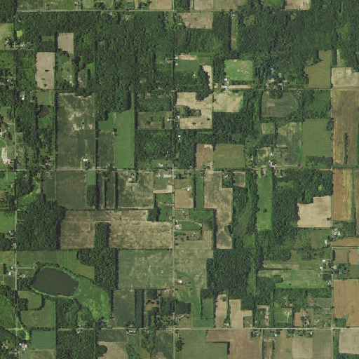 Aerial imagery of Hicks School, MI
