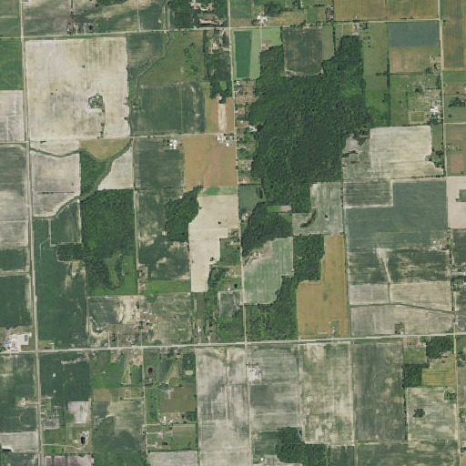 Aerial imagery of Hill School, MI
