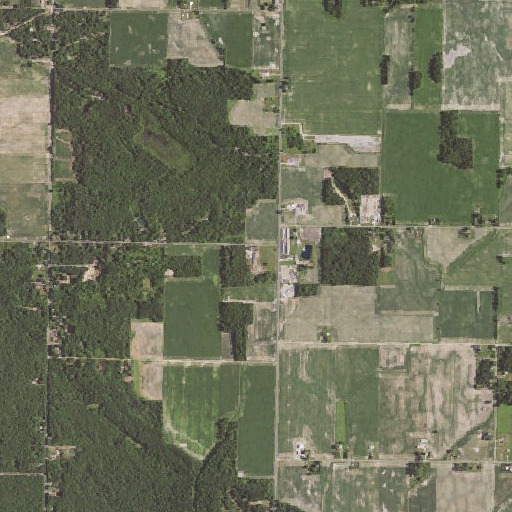 Aerial imagery of Hillside School, MI