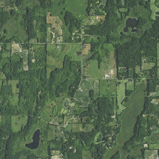 Aerial imagery of Hinds School, MI
