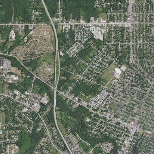 Aerial imagery of Hoover School, MI