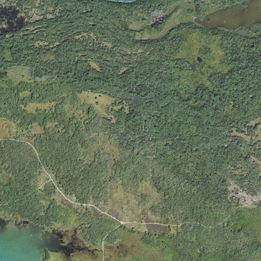 Aerial imagery of Maxton Plains, MI